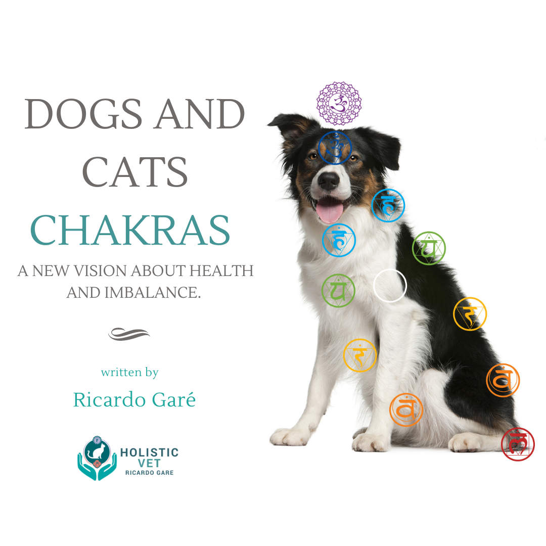 DOGS AND CATS CHAKRAS - SOON